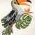 Tucano